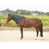 Halsstuk Harry's Horse Thor 200gr Grijs -Ruiter Hoek Verkoopwinkel halsstuk harry s horse thor 200gr grijs 1500x1500 165715