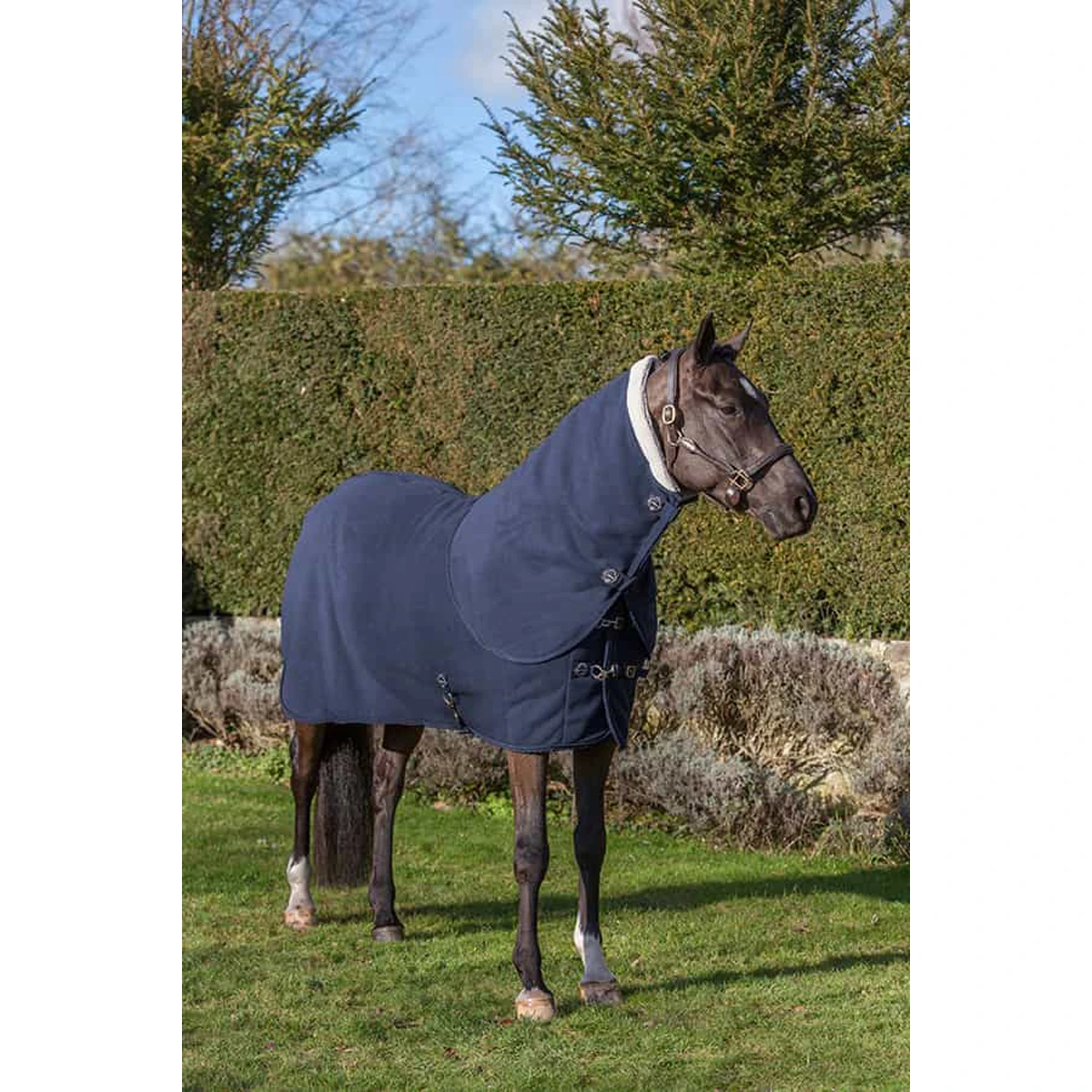 Halsstuk LeMieux Four Seasons Donkerblauw 5 Halsstuk LeMieux Four Seasons Donkerblauw - Afbeelding 3