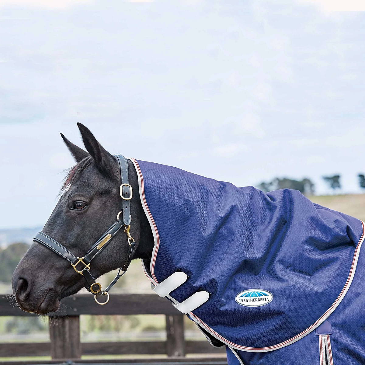 Halsstuk WeatherBeeta ComFiTec Essential Medium 220gr Donkerblauw-zilver 3 Halsstuk WeatherBeeta ComFiTec Essential Medium 220gr Donkerblauw-zilver