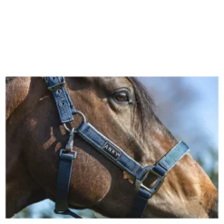 Halster Anky Grooming Donkerblauw -Ruiter Hoek Verkoopwinkel halster anky grooming donkerblauw 1500x1500 183526