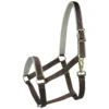 Halster Bucas Dublin Bruin-zilver 2 Halster Bucas Dublin Bruin-zilver -Ruiter Hoek Verkoopwinkel halster bucas dublin bruin zilver 1500x1500 112122