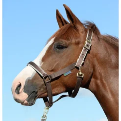 Halster Bucas Dublin Bruin-zilver 7 Halster Bucas Dublin Bruin-zilver -Ruiter Hoek Verkoopwinkel halster bucas dublin bruin zilver 1500x1500 112124