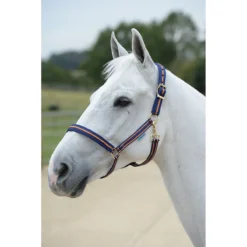 Halster Bucas Dublin Donkerblauw-oranje -Ruiter Hoek Verkoopwinkel halster bucas dublin donkerblauw oranje 1500x1500 112107
