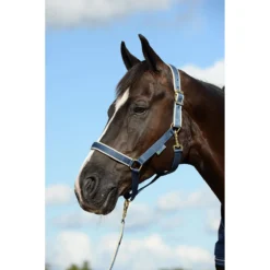 Halster Bucas Dublin Donkerblauw-zilver -Ruiter Hoek Verkoopwinkel halster bucas dublin donkerblauw zilver 1500x1500 112112