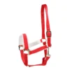 Halster Epplejeck EJChristmas Rood -Ruiter Hoek Verkoopwinkel halster epplejeck ejchristmas rood 1500x1500 169093
