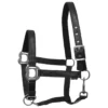 Halster Epplejeck EJLorum Zwart -Ruiter Hoek Verkoopwinkel halster epplejeck ejlorum zwart 1500x1500 120655