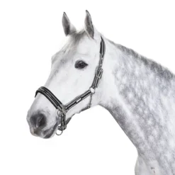 Halster Eskadron Classic Sports Donkergrijs-wit