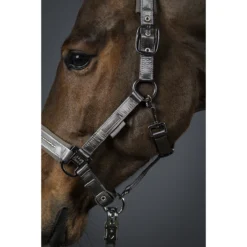 Halster Eskadron Classic Sports Double Pin Satin Crystal Groen -Ruiter Hoek Verkoopwinkel halster eskadron classic sports double pin satin crystal groen 1500x1500 157359