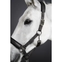 Halster Eskadron Classic Sports Pin Buckle Groen -Ruiter Hoek Verkoopwinkel halster eskadron classic sports pin buckle groen 1500x1500 157349