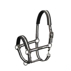 Halster Eskadron Essence Pin Buckle Donkergroen-wit