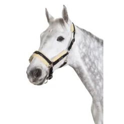 Halster Eskadron Faux Fur Zwart -Ruiter Hoek Verkoopwinkel halster eskadron faux fur zwart 1500x1500 132103