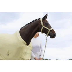 Halster Eskadron Platinum Pure Double Pin Glitter Mesh Lichtgeel -Ruiter Hoek Verkoopwinkel halster eskadron platinum pure double pin glitter mesh lichtgeel 1500x1500 184415