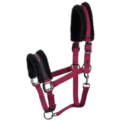 Halster Harry's Horse Lyrics Black Donkerrood