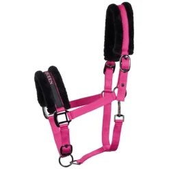 Halster Harry's Horse Lyrics Black Roze