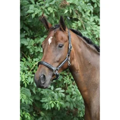 Halster Horka Leer Zwart-zilver