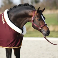 Halster Horsegear Aurum Donkerrood -Ruiter Hoek Verkoopwinkel halster horsegear aurum donkerrood 1500x1500 139113