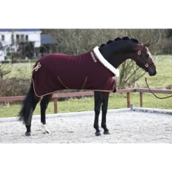 Halster Horsegear Aurum Donkerrood -Ruiter Hoek Verkoopwinkel halster horsegear aurum donkerrood 1500x1500 139114