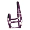 Halster Horsegear Aurum Paars -Ruiter Hoek Verkoopwinkel halster horsegear aurum paars 1500x1500 139103