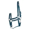 Halster Horsegear HGVelvet Dapple Darkturquoise 2 Halster Horsegear HGVelvet Dapple Darkturquoise -Ruiter Hoek Verkoopwinkel halster horsegear hgvelvet dapple darkturquoise 1500x1500 182013