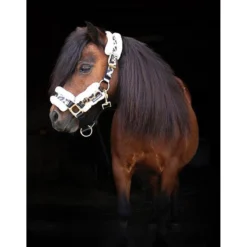 Halster Horsegear Leopard Black-beige -Ruiter Hoek Verkoopwinkel halster horsegear leopard black beige 1500x1500 121668