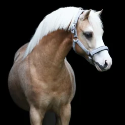 Halster Horsegear Lux Zilver -Ruiter Hoek Verkoopwinkel halster horsegear lux zilver 1500x1500 123522