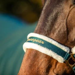 Halster Horsegear Lyx Donkergroen -Ruiter Hoek Verkoopwinkel halster horsegear lyx donkergroen 1500x1500 172849