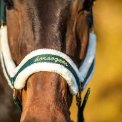 Halster Horsegear Lyx Donkergroen -Ruiter Hoek Verkoopwinkel halster horsegear lyx donkergroen 1500x1500 172850