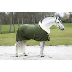 Halster Horsegear Lyx Groen -Ruiter Hoek Verkoopwinkel halster horsegear lyx groen 1500x1500 172847