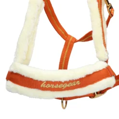 Halster Horsegear Lyx Middenoranje -Ruiter Hoek Verkoopwinkel halster horsegear lyx middenoranje 1500x1500 165981