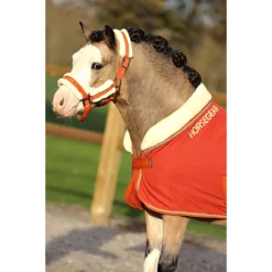 Halster Horsegear Lyx Middenoranje -Ruiter Hoek Verkoopwinkel halster horsegear lyx middenoranje 1500x1500 172844