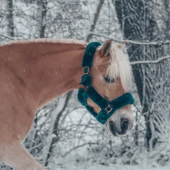 Halster Horsegear Suave Rosegold Donkergroen -Ruiter Hoek Verkoopwinkel halster horsegear suave rosegold donkergroen 1500x1500 115931