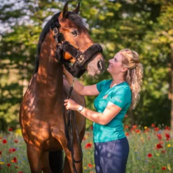 Halster Horsegear Suave Zwart -Ruiter Hoek Verkoopwinkel halster horsegear suave zwart 1500x1500 102990