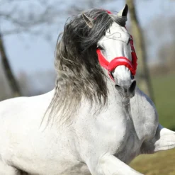 Halster Horsegear Velvet Roze -Ruiter Hoek Verkoopwinkel halster horsegear velvet roze 1500x1500 123537