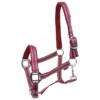 Halster Horsegear Zari Rood-zilver -Ruiter Hoek Verkoopwinkel halster horsegear zari rood zilver 1500x1500 120685