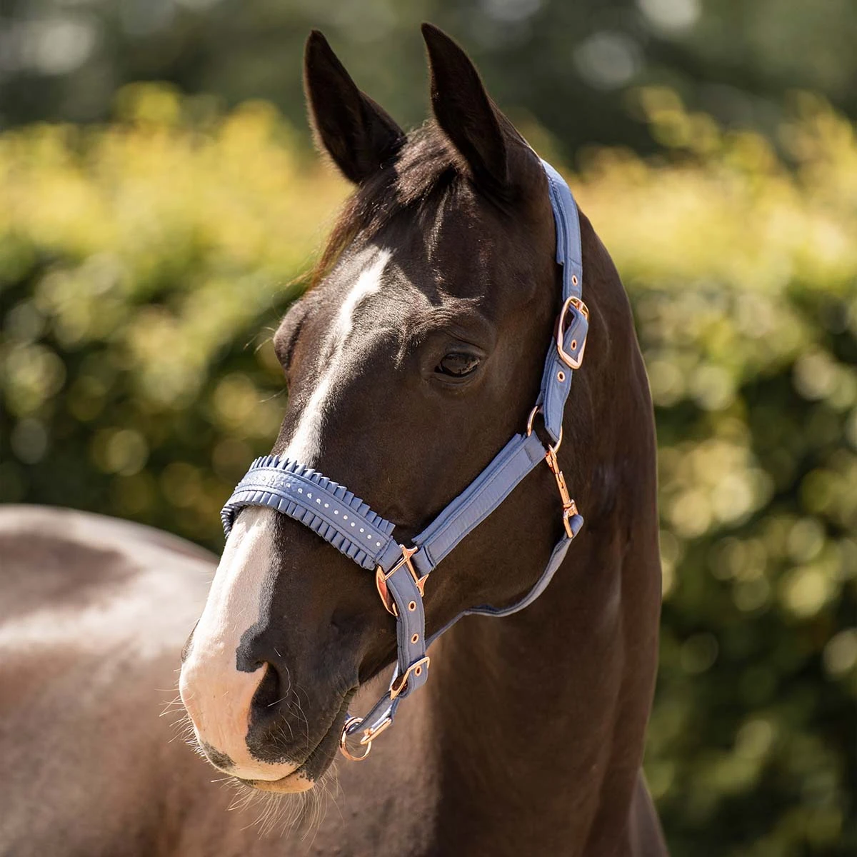 Halster Imperial Riding IRHLovely Lichtblauw 3 Halster Imperial Riding IRHLovely Lichtblauw