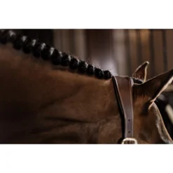 Halster Kentucky Anatomisch Bruin -Ruiter Hoek Verkoopwinkel halster kentucky anatomisch bruin 1500x1500 137543