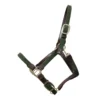 Halster Kentucky Gevlochten Donkergroen -Ruiter Hoek Verkoopwinkel halster kentucky gevlochten donkergroen 1500x1500 137552