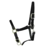 Halster Kentucky Gevlochten Zwart -Ruiter Hoek Verkoopwinkel halster kentucky gevlochten zwart 1500x1500 137546