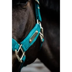 Halster Kentucky Velvet Donkergroen -Ruiter Hoek Verkoopwinkel halster kentucky velvet donkergroen 1500x1500 144729