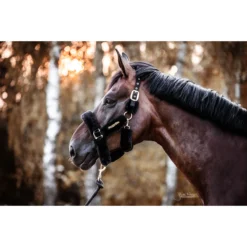 Halster Kentucky Wol Zwart -Ruiter Hoek Verkoopwinkel halster kentucky wol zwart 1500x1500 137522