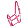 Halster Paardenpraat By EJ 2.0 Roze -Ruiter Hoek Verkoopwinkel halster paardenpraat by ej 2 0 roze 1500x1500 142249