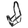 Halster Passier Leer Zwart -Ruiter Hoek Verkoopwinkel halster passier leer zwart 1500x1500 156488