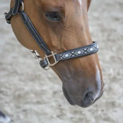 PÉNÉLOPE Halster Pénélope Pearl Zwart -Ruiter Hoek Verkoopwinkel halster penelope pearl zwart 1500x1500 187852