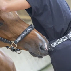 PÉNÉLOPE Halster Pénélope Pearl Zwart -Ruiter Hoek Verkoopwinkel halster penelope pearl zwart 1500x1500 187853