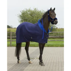 Halster QHP Alaska Donkerblauw -Ruiter Hoek Verkoopwinkel halster qhp alaska donkerblauw 1500x1500 139558