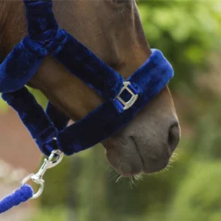 Halster QHP Alaska Donkerblauw -Ruiter Hoek Verkoopwinkel halster qhp alaska donkerblauw 1500x1500 139559