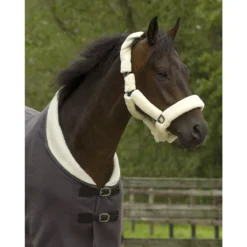 Halster QHP Alaska Grijs-beige -Ruiter Hoek Verkoopwinkel halster qhp alaska grijs beige 1500x1500 139565