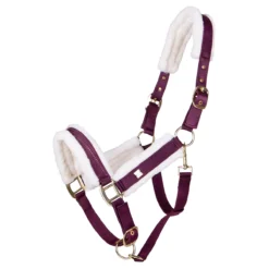 Halster QHP Menton Paars