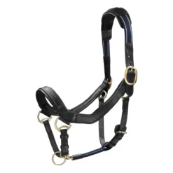 Halster Rambo Micklem Zwart