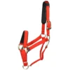 Halster Shires Nylon Topaz Rood -Ruiter Hoek Verkoopwinkel halster shires nylon topaz rood 1500x1500 110661